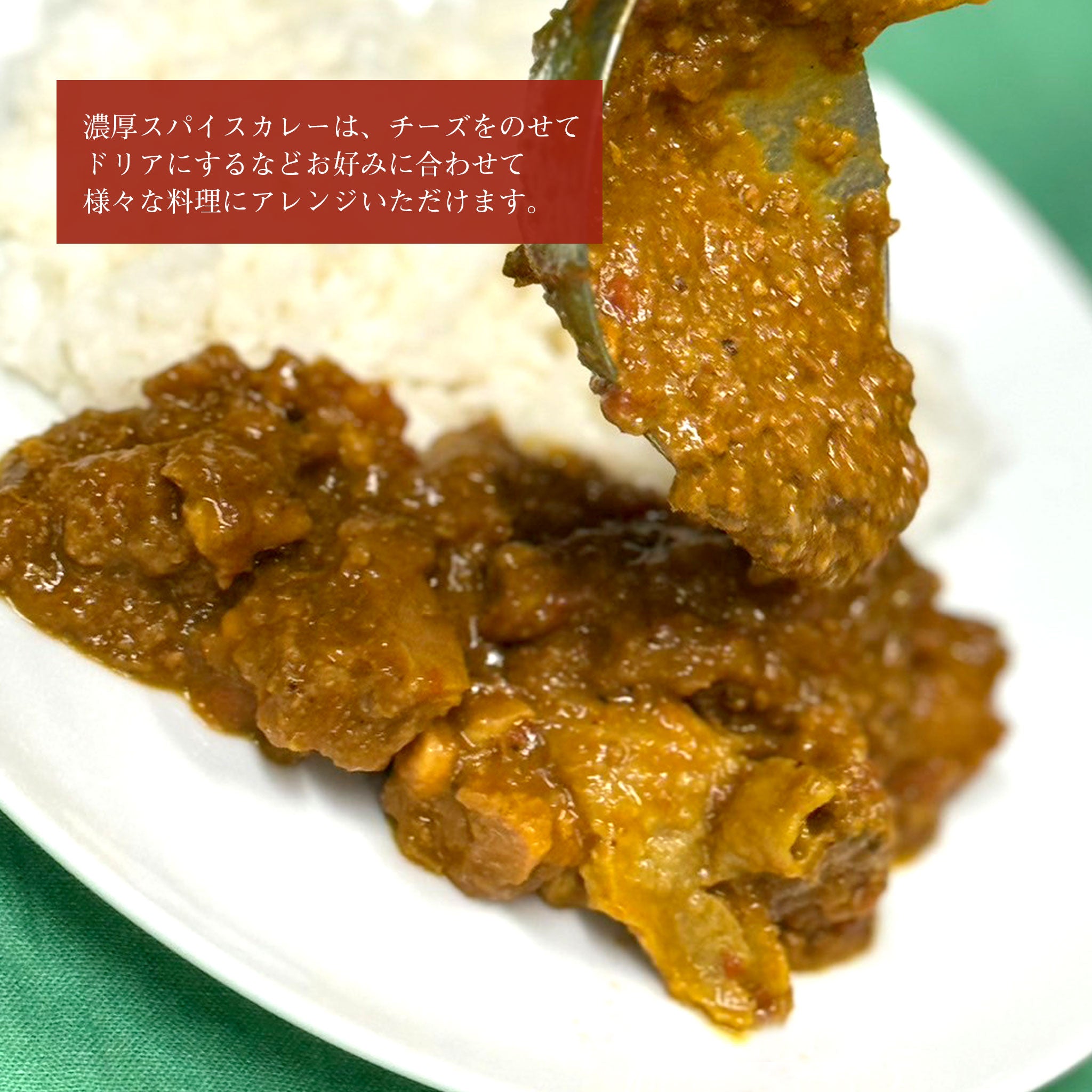 ☆オンラインショップ限定☆濃厚スパイスチキンカレー／5食セット – KP